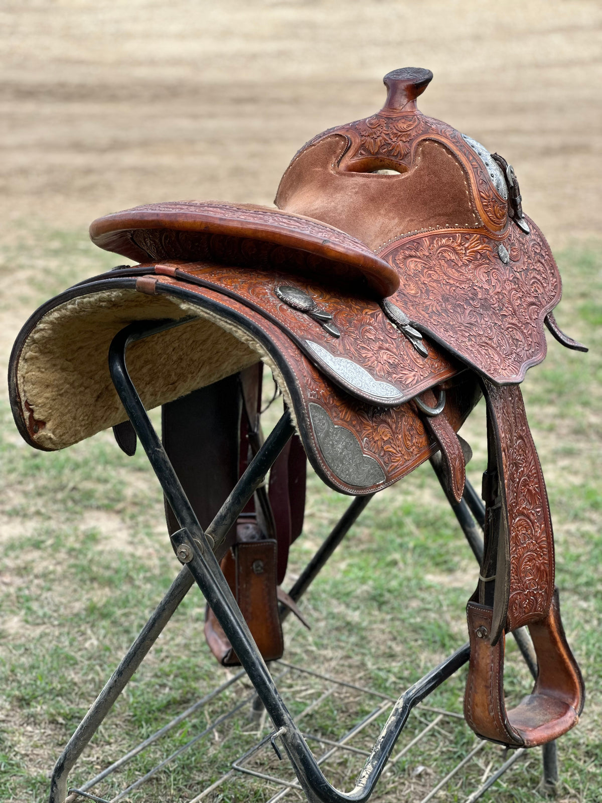 16” Blue Ribbon Pleasure Show Saddle