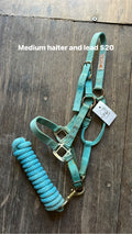 Medium Turquoise Halter & Lead