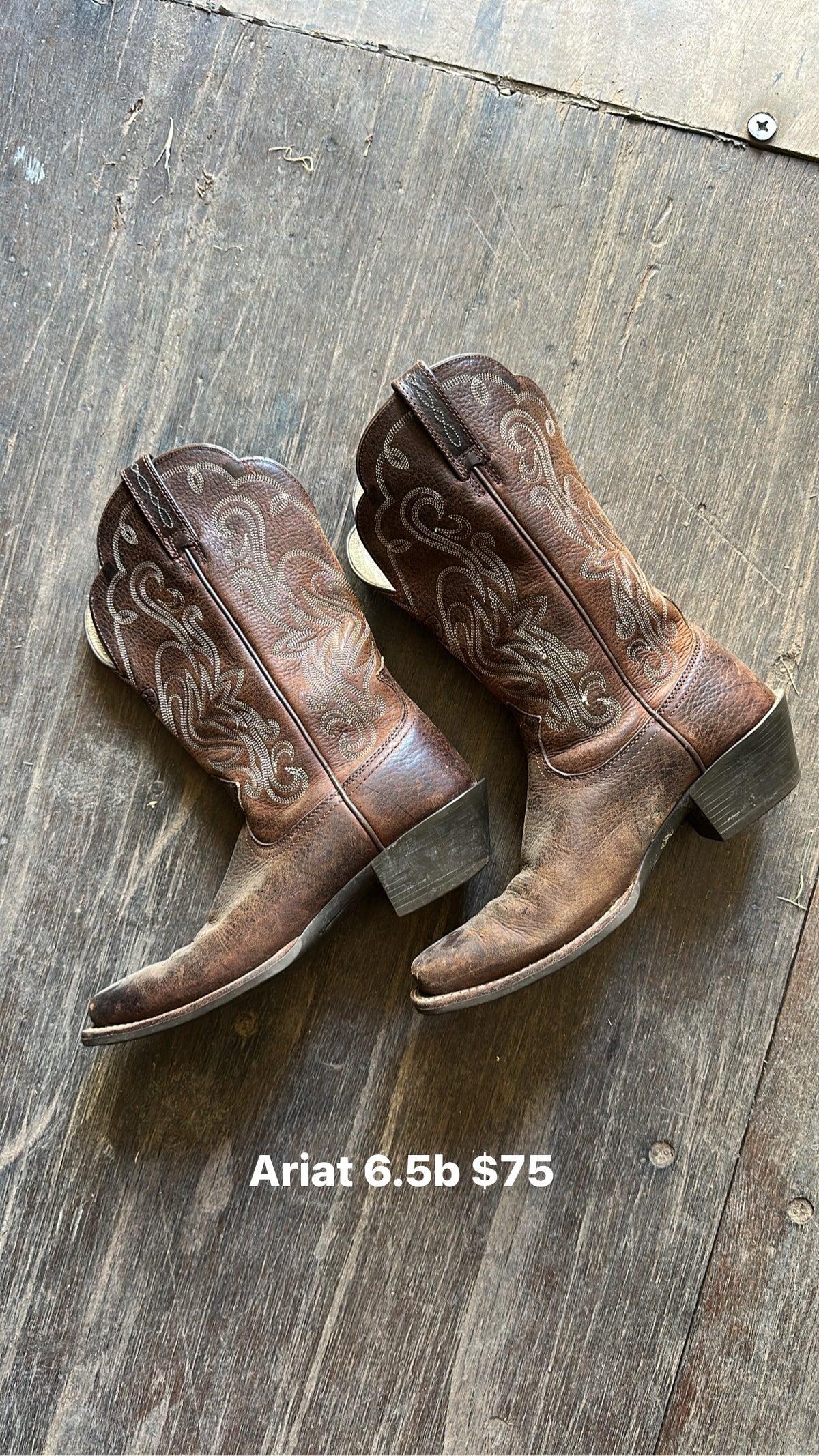 Ladies Ariat Boots 6.5B