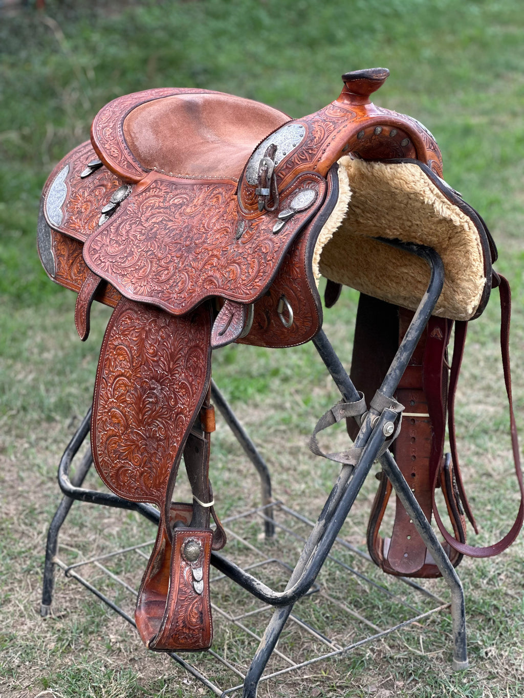 16” Blue Ribbon Pleasure Show Saddle