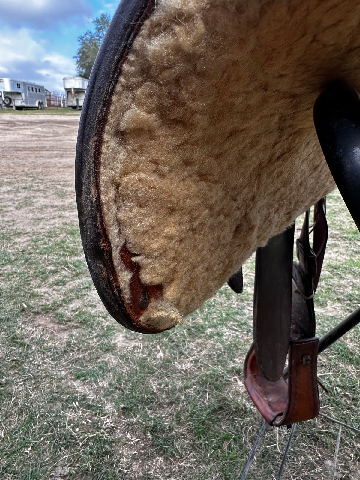 16” Blue Ribbon Pleasure Show Saddle