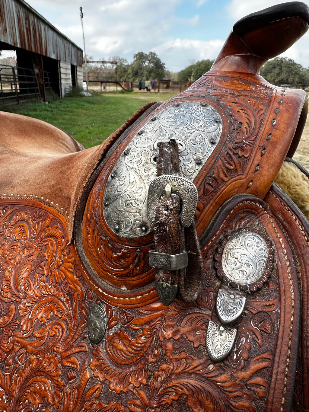 16” Blue Ribbon Pleasure Show Saddle