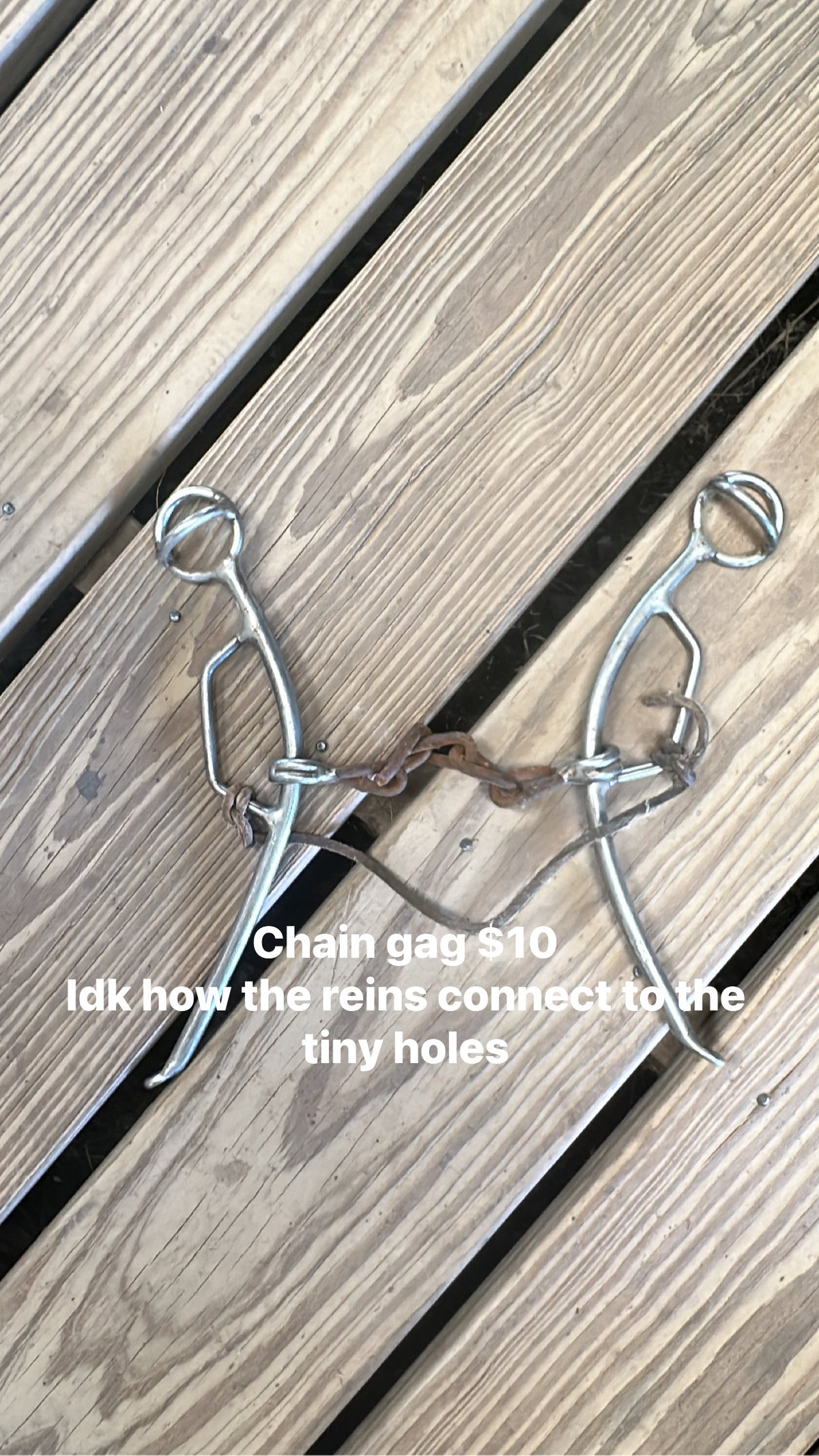 Chain Gag Bit
