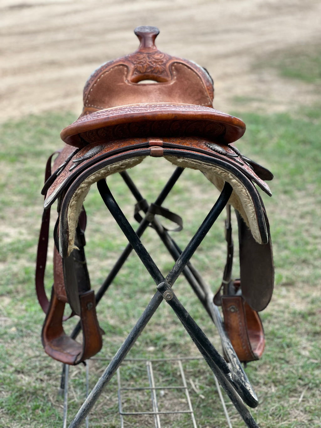 16” Blue Ribbon Pleasure Show Saddle