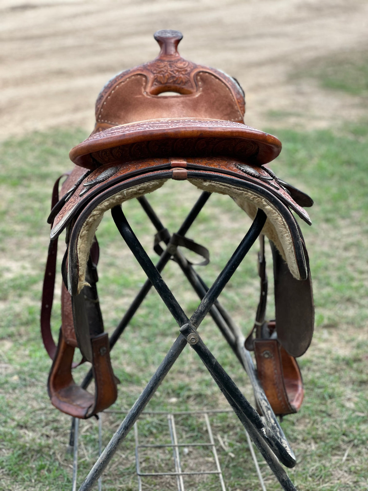16” Blue Ribbon Pleasure Show Saddle