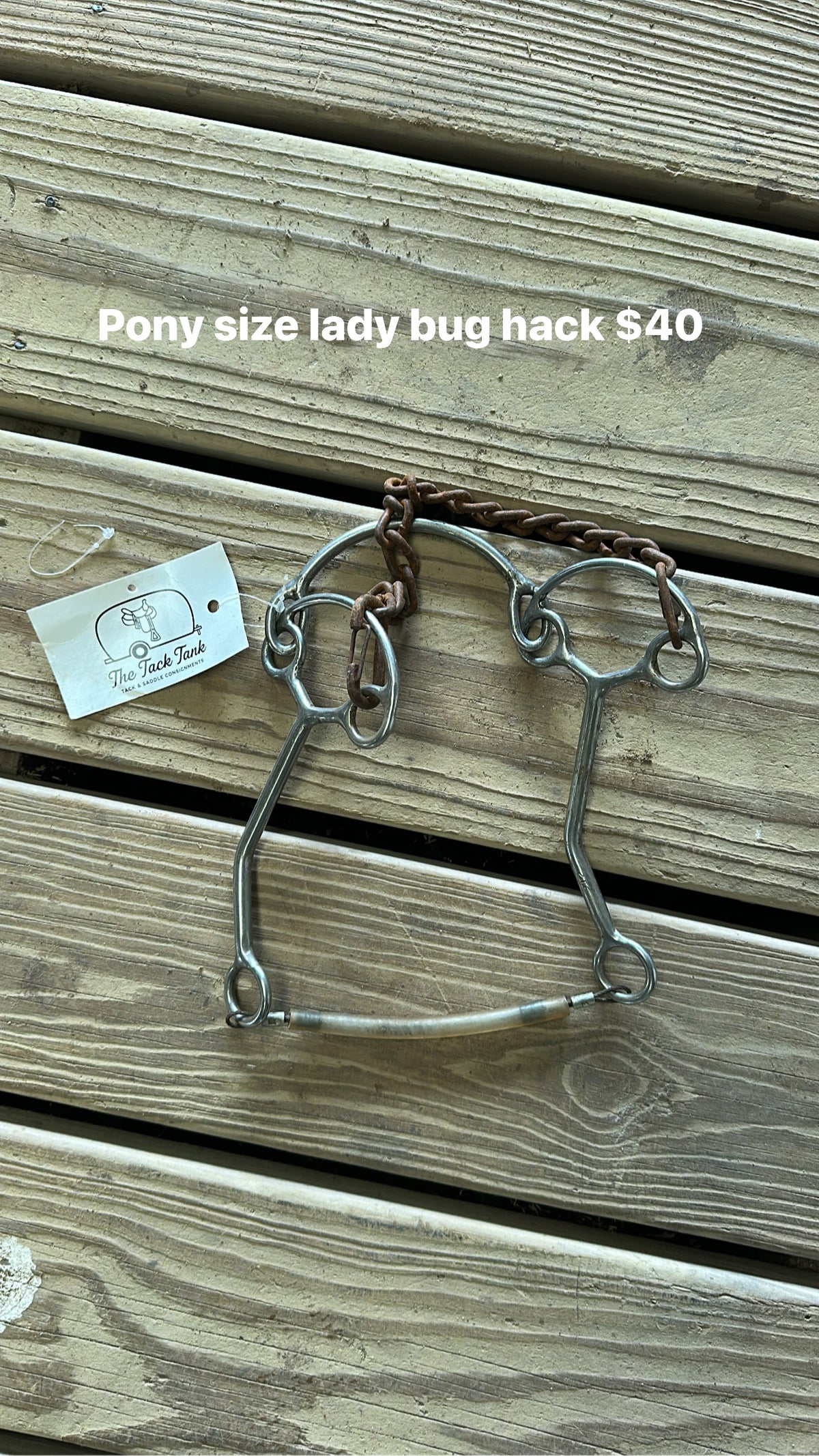 Lady Bug Hackamore - pony size