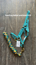 Turquoise Yearling Halter & Lead