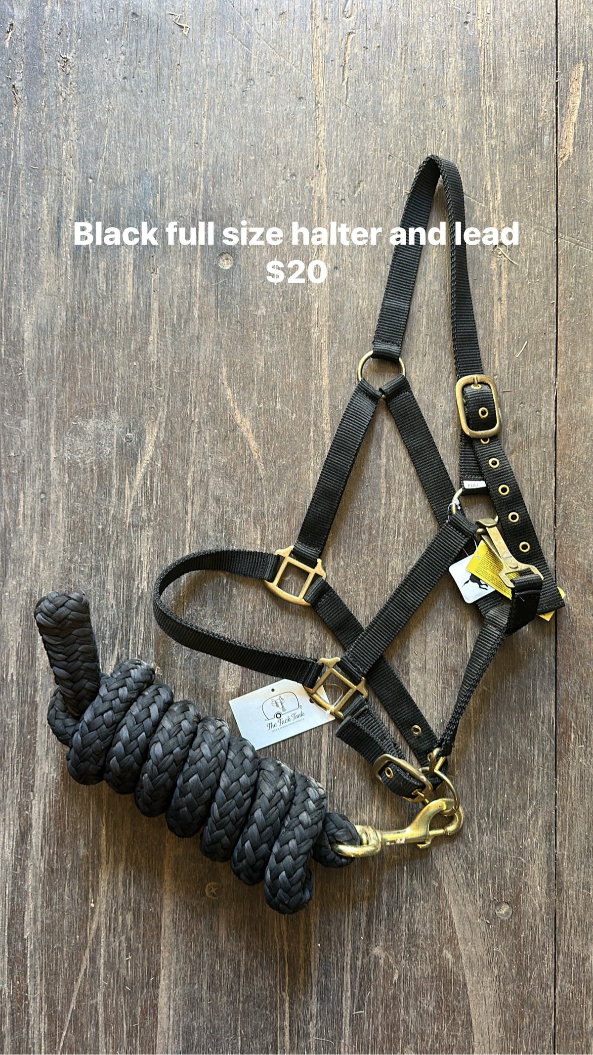 Black Full Halter & Lead